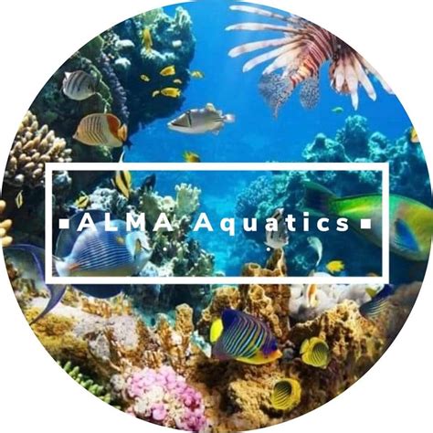 ALMA Aquatics Ltd